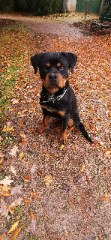 Jack