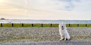 FREYJA