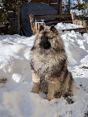 Pixel