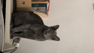 Pablo