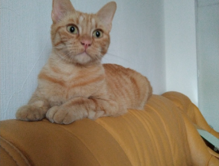 Luna
