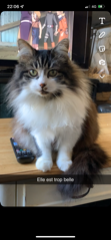 Blikie