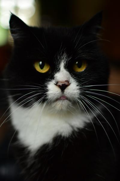 Kiara