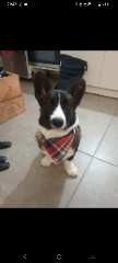 Trevor