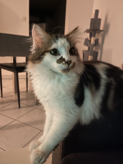 Max