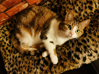 Itsy Bitsy