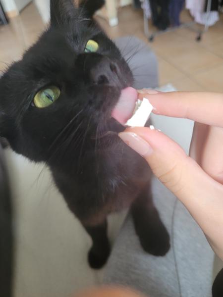 Eko