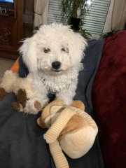 TITUS