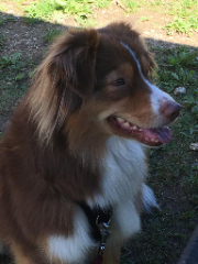 Kira