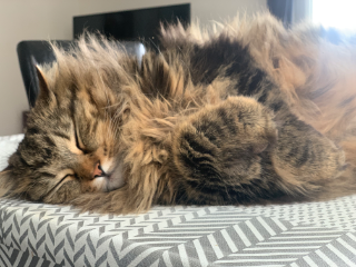 Croquette
