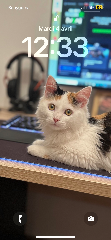 Nini