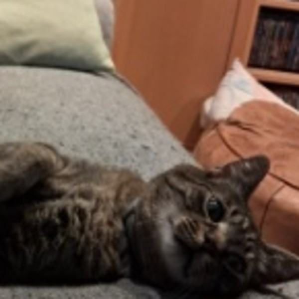Léo