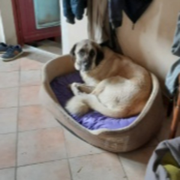 Una