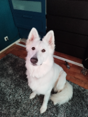 Shaka