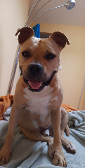 Tayson