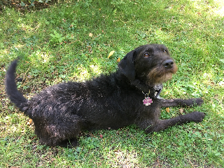 Lucy