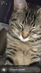 Yuki