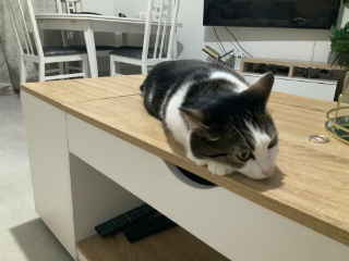 Della