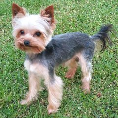 Eddie