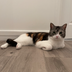 Mia