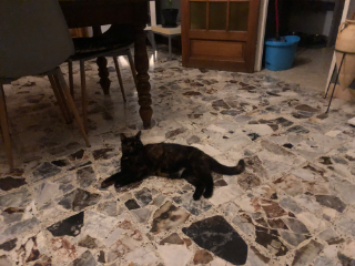Minette