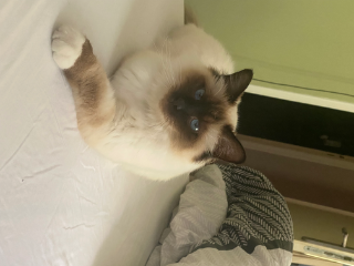 Usko