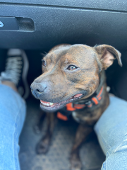Paco