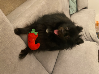 Luna