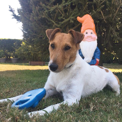Largo