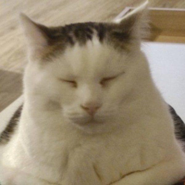 Olaf