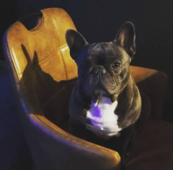 Oscar