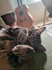 Franklin
