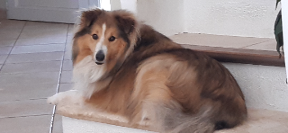 Melba