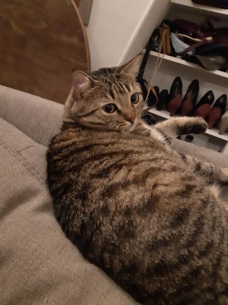 Kili