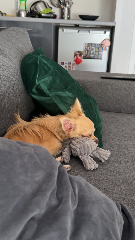 Spike