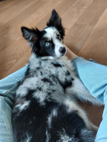 JACK