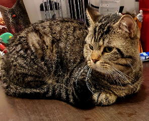 Smooky