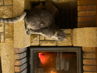 félix