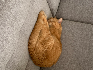 Caramel