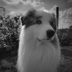 Maïko