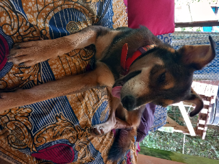 Luku