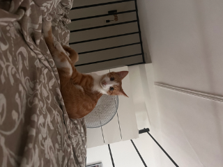 Winnie