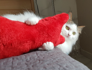 Nala