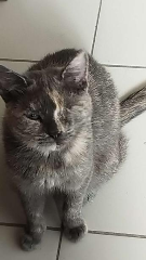 Bonnie