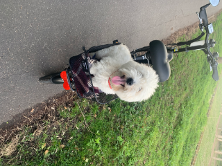 Olaf