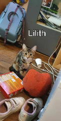 Lilith
