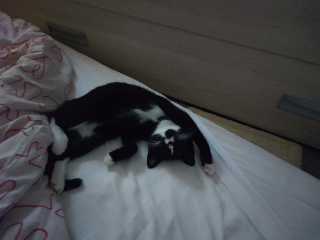 Barnabé