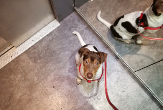 Max