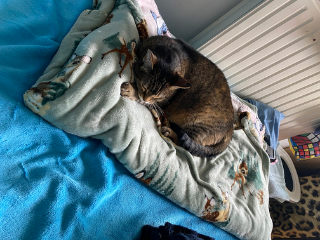 Mimie