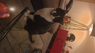 Java